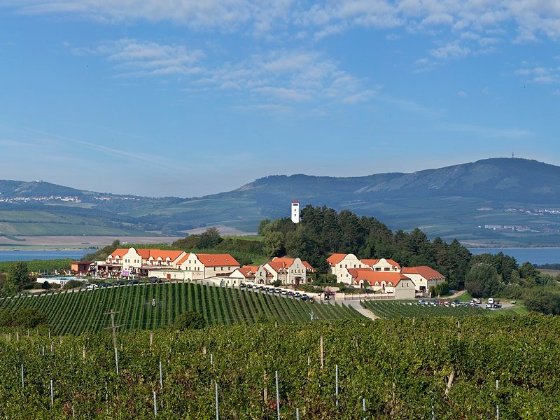 Vinařství U Kapličky - penzion