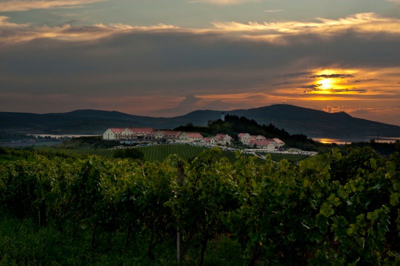 Vinařství U Kapličky - penzion