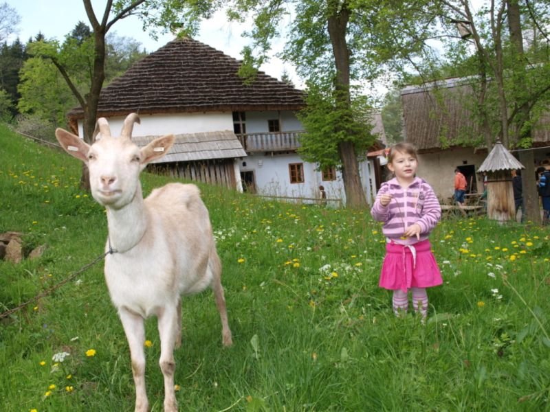 Vodní mlýn Hoslovice