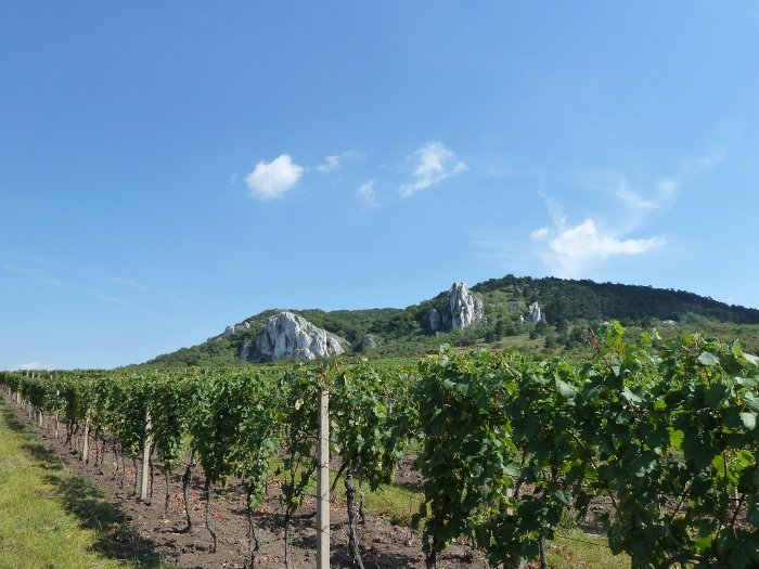 Zámecké vinařství Bzenec s.r.o.