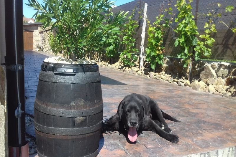 Penzion Pod Slunečnou