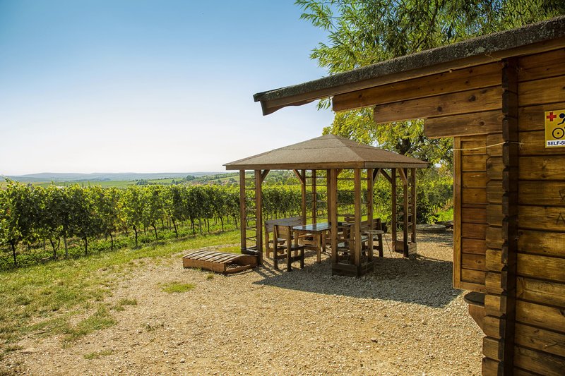 ZNOVÍN ZNOJMO, a. s. - ochutnávkový stánek Staré vinice, Havraníky