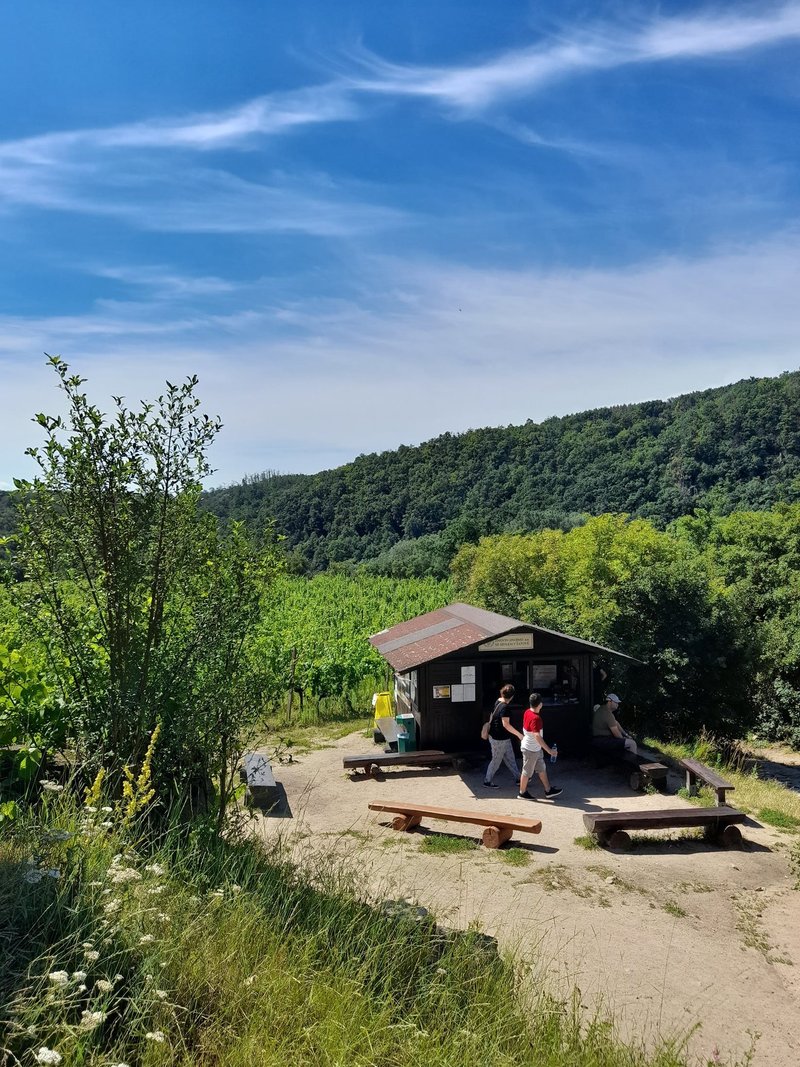 ZNOVÍN ZNOJMO, a.s. – ochutnávkový stánek Šobes, Podmolí