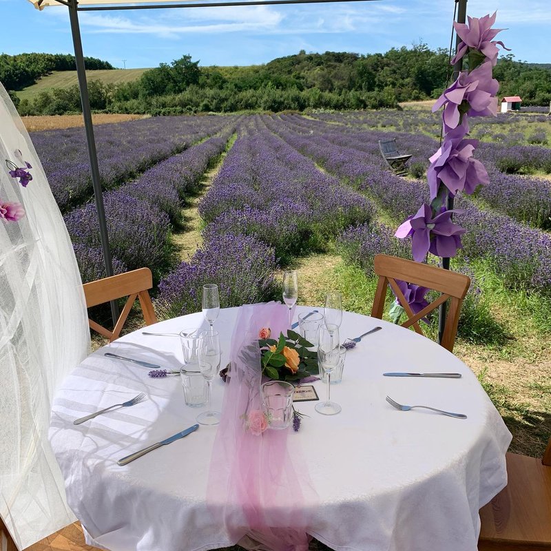Levandulové údolí - restaurace
