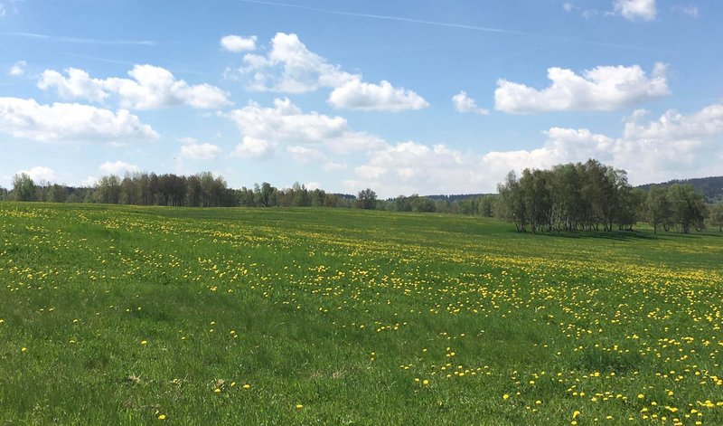 Ubytování U Ropáků