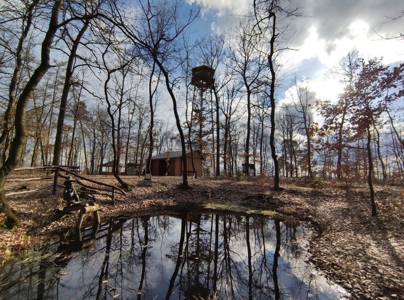Rozhledna Milíř Vysoká nad Labem