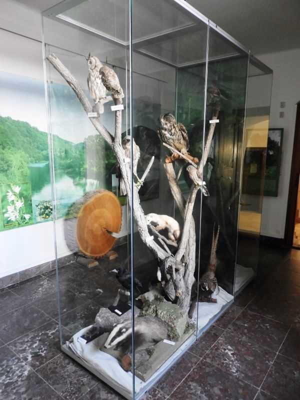 Regionální muzeum v Jílovém u Prahy