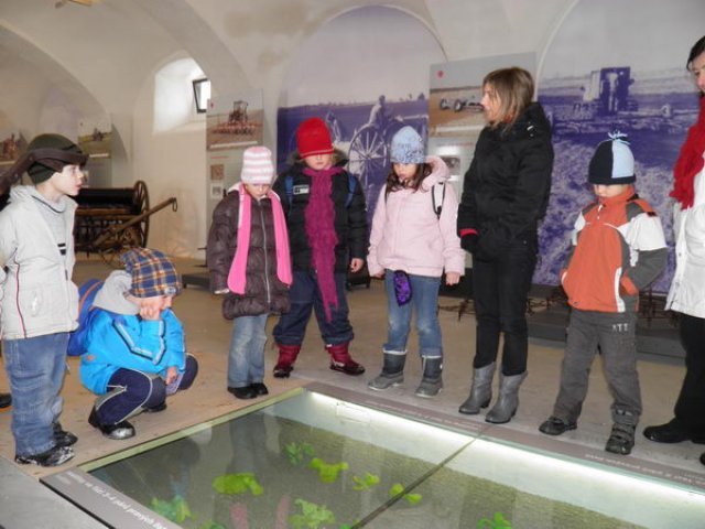 Dobrovická muzea, o.p.s